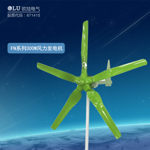FN系列300W風(fēng)力發(fā)電機