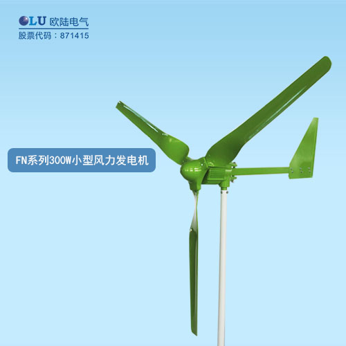 FN系列300W小型風(fēng)力發(fā)電機
